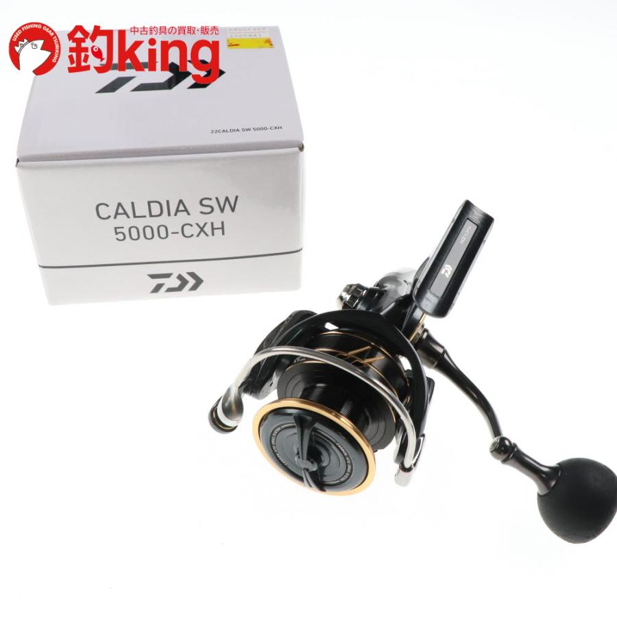 DAIWA（ダイワ） 22 カルディア SW 5000-CXH /H099M ヒラスズキ 平鱸