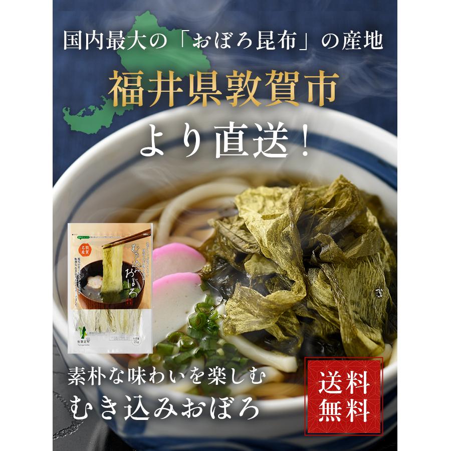 現代の名工 むき込みおぼろ 25g】 国産 福井産 敦賀銘品 現代の名工