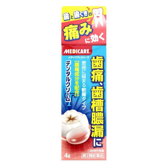 森下仁丹 【第2類医薬品】森下仁丹 デンタルクリーム T (4g) : ツルハ
