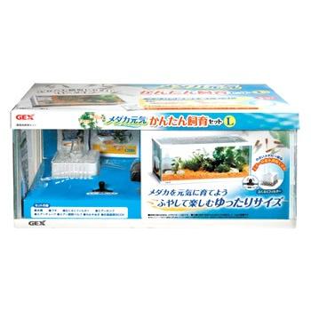 ジェックス メダカ元気 かんたん飼育セット L 1セット 観賞魚用品 水槽 ポンプ ツルハドラッグ 通販 Paypayモール