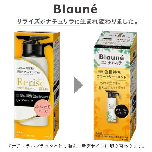 Kao 花王 リライズ 白髪用髪色サーバー リ・ブラック ふんわり Kao 花王 リライズ 白髪用髪色サーバー リ・ブラック ふんわり