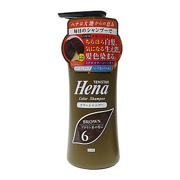 テンスター 三宝商事 カラーシャンプー 6 ダークブラウン (300mL) ノン