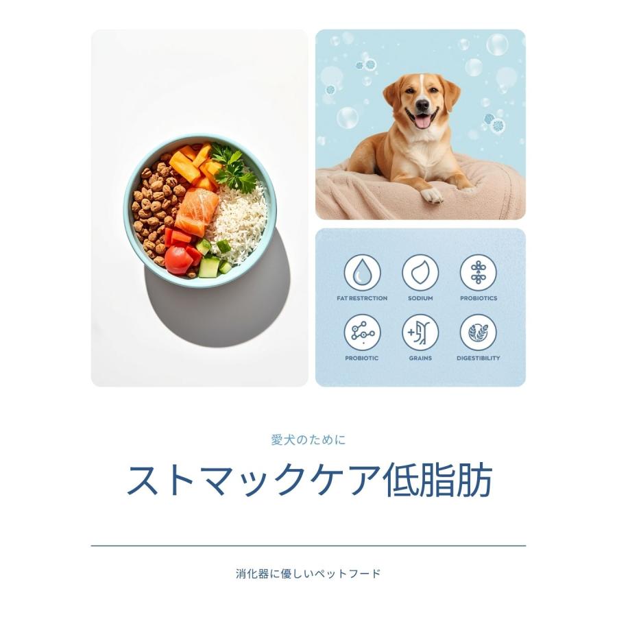 ペットライン Dr.'s Care ドクターズケア ストマックケア 低脂肪 犬用