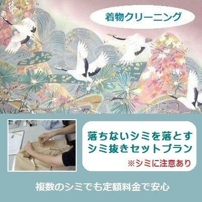 紬・複数のシミでも定額・長年人気の一クラス上クリーニング「丸洗い＋ 