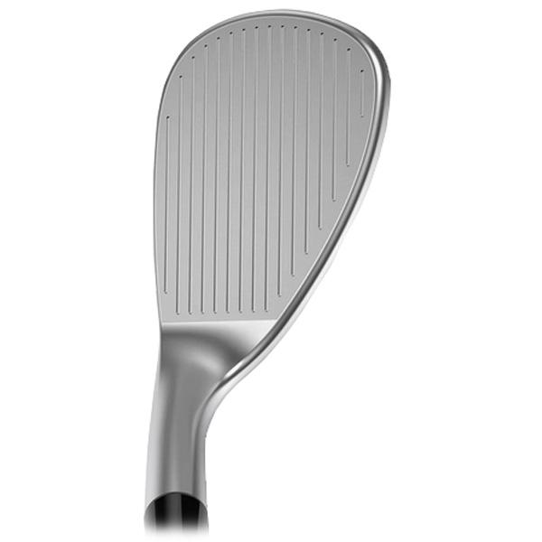 COBRA(ゴルフ) コブラ 2023 スネークバイト クローム DG105 COBRA(ゴルフ) コブラ 2023 スネークバイト クローム DG105