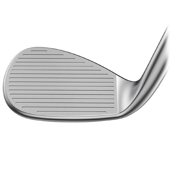 COBRA(ゴルフ) コブラ 2023 スネークバイト クローム DG105 COBRA(ゴルフ) コブラ 2023 スネークバイト クローム DG105