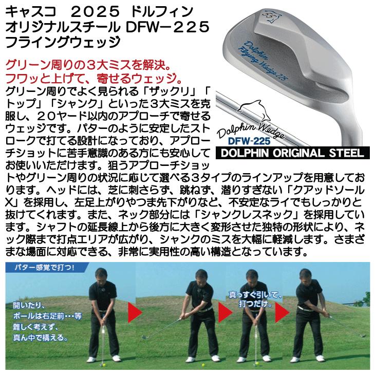 Dolphin Wedge キャスコ ドルフィン フライングウェッジ DFW-225