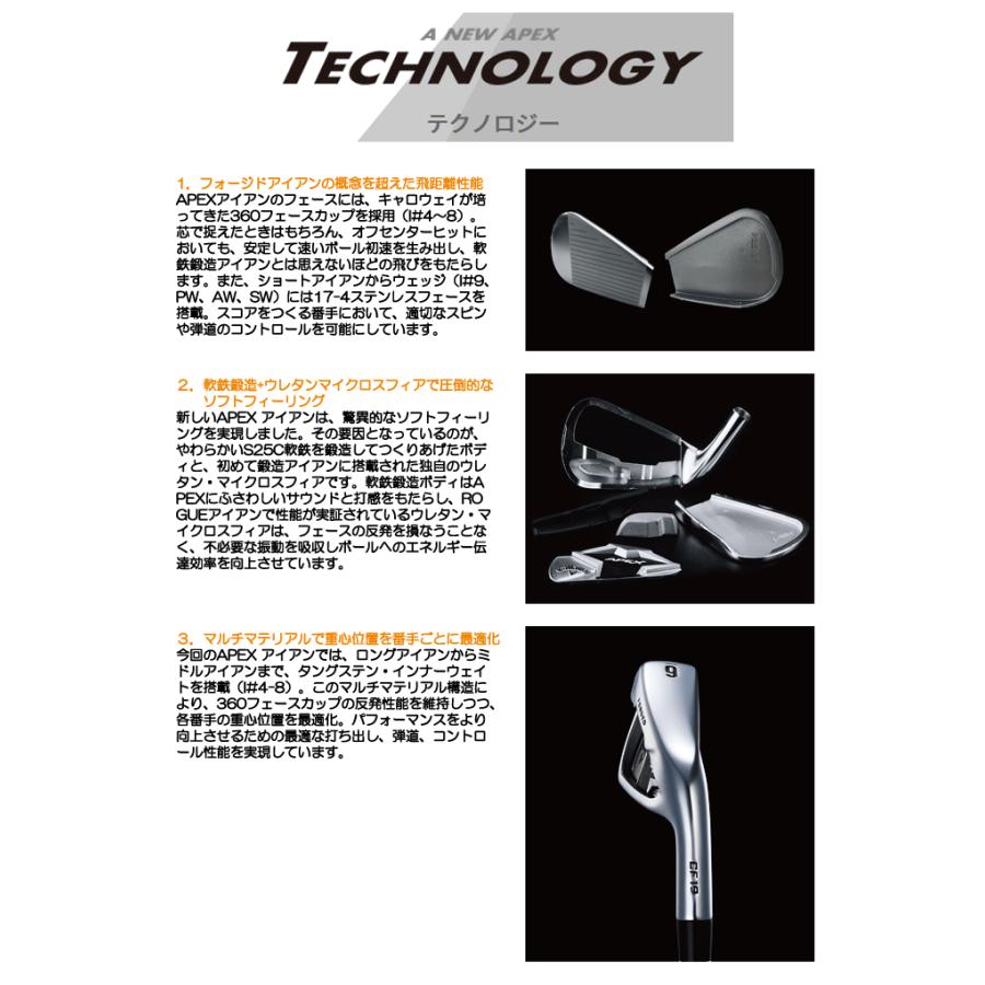 させるため 左用 レフティー キャロウェイ ２０１９ ＡＰＥＸ Ｎ．Ｓ