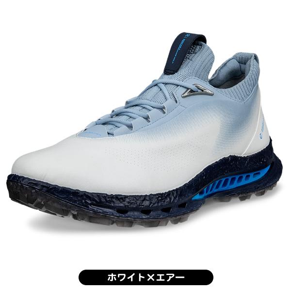 【高級】ECCO エコー ゴルフシューズ BIOM G2 ヤクレザー 43 ecco（エコー） ゴルフシューズ BIOM C5 132604 メンズ スパイクレス