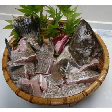 長崎県 対馬産 「幻の魚クエ」　鍋セット700g（冷凍）｜tsushima-kue-store｜02