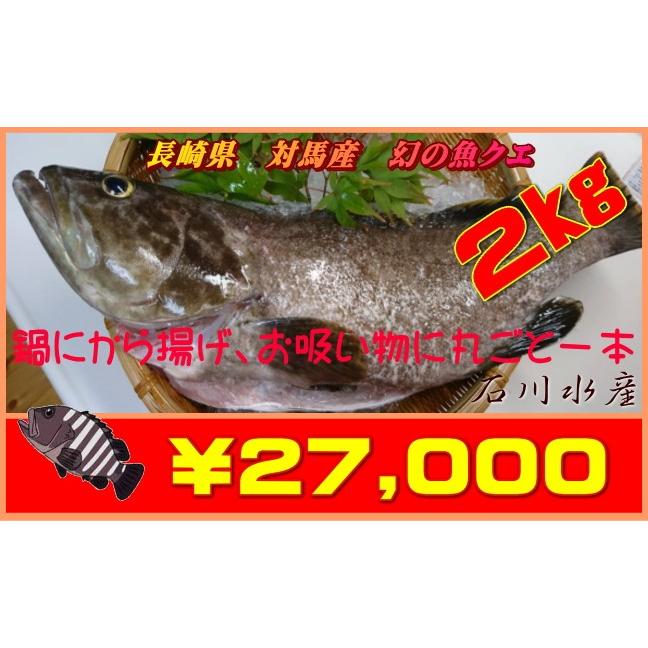 円 最大98 オフ 長崎県 対馬産 幻の魚クエ 一匹売り2kg 冷蔵