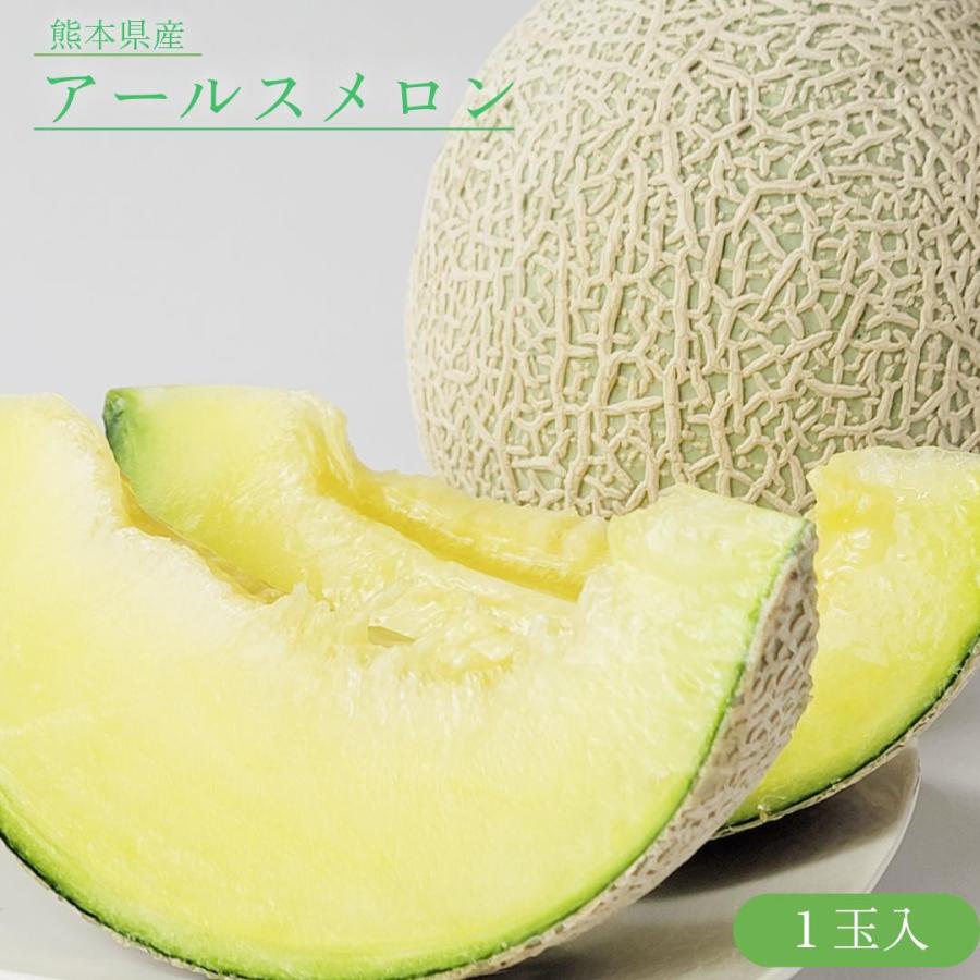熊本県産 アールスメロン 3L〜2Lサイズ 1玉 : 津末フルーツストア