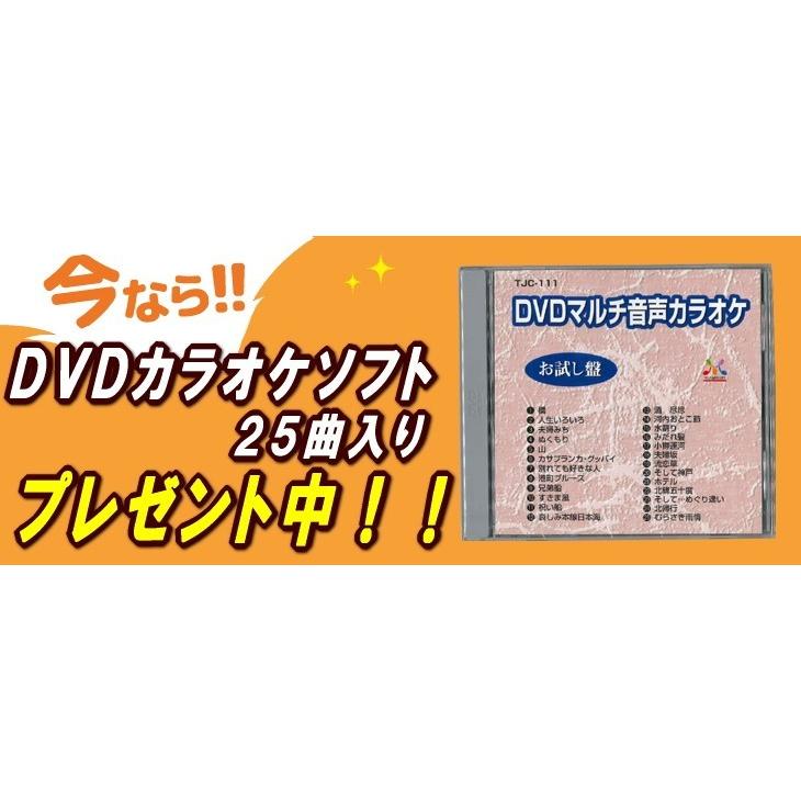 家庭用 カラオケセット ANABAS 本格派 DVD ホームカラオケ システム ワイヤレスマイク2本付 DVD-K110｜tsuten2｜03