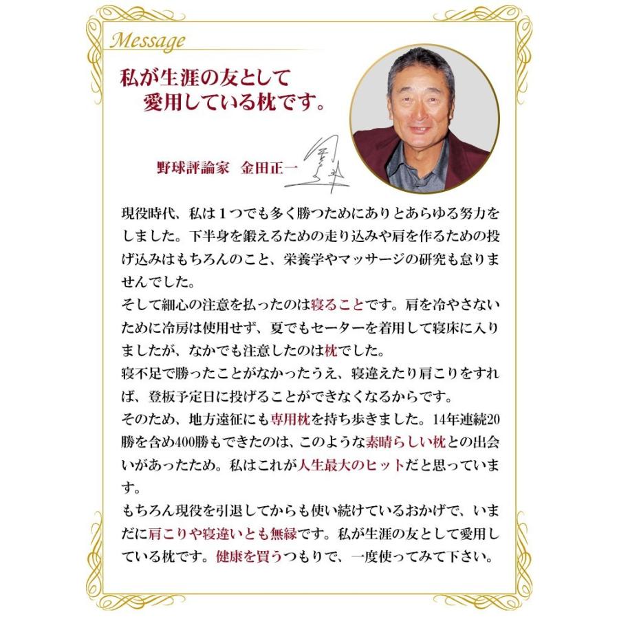 カネやんのカイロプラクターピロー 頚椎が伸びる枕 金田正一監修
