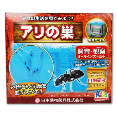 ニチドウ 飼育観察セット アリの巣｜tsutsu-uraura
