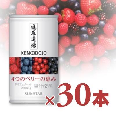 ジュース フルーツジュース サンスター 健康道場 4つのベリーの恵み 缶