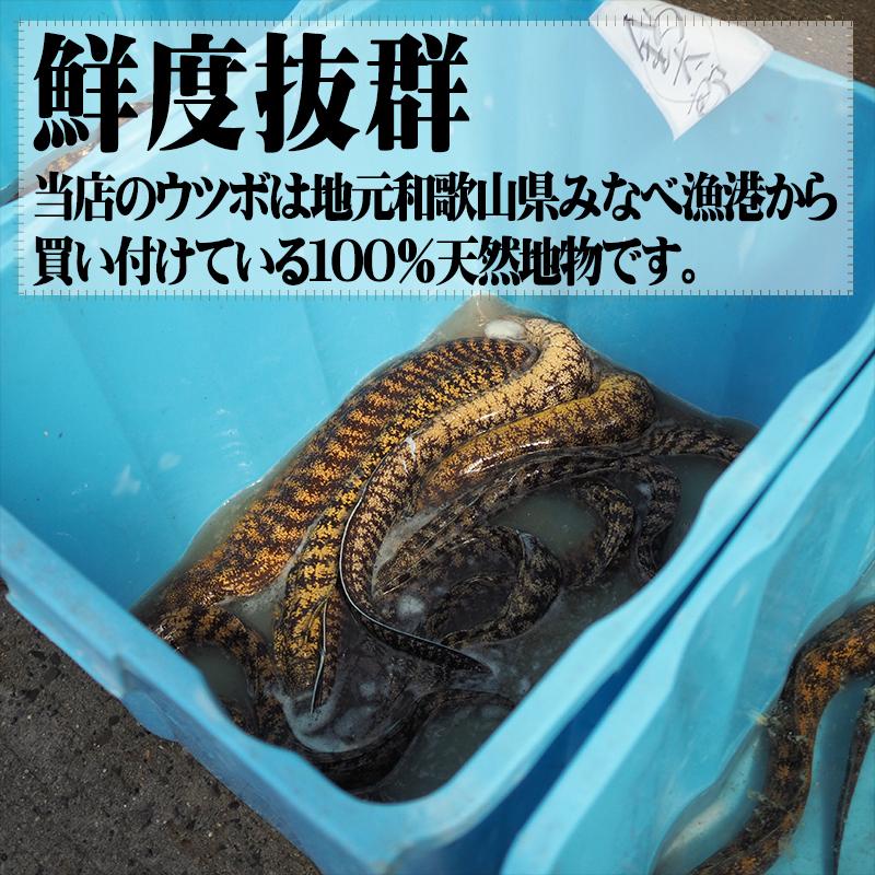 うつぼ一夜干し 約80ｇ 無添加 手造り 1人前 約80ｇ 梅酢使用 珍味 干物 贈り物 厳選 国内産 贈り物 冷凍配送 真空冷凍 H 21 1 釣太郎キッチン 通販 Yahoo ショッピング