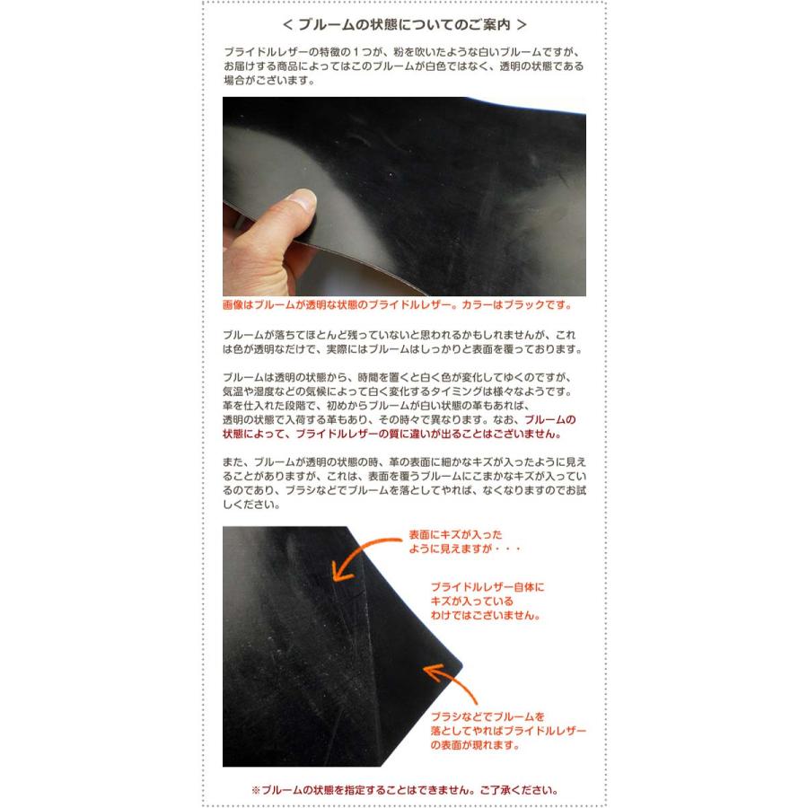 【ベルト付き】システム手帳 A5 サイズ 【ブライドルレザー】 2021の画像