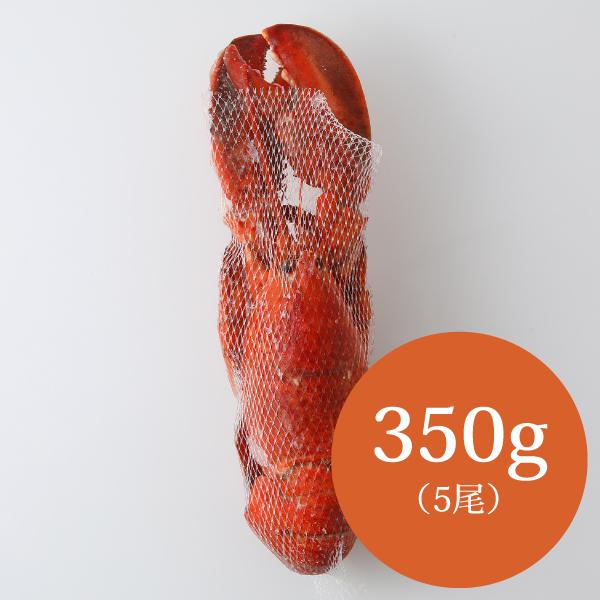 55 Off 冷凍 ボイル オマール ロブスター 350gx5尾 Quran Unv Edu Sd