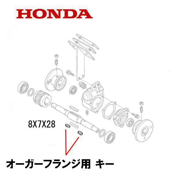 ホンダ（HONDA） 除雪機 オーガーフランジ用 キー (8X7X28) 1個