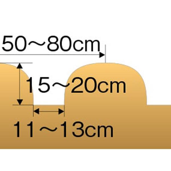 アポロ培土器(C050) アポロ培土器(C050) 園芸用品
