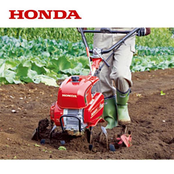 ホンダ（HONDA） F503 ニュースターローターDX 50-75（カラー付）F402