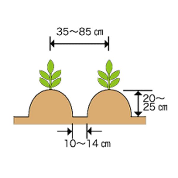 ホンダ（HONDA） FU655・FU755用 オレンジ培土器（尾輪付） FU450