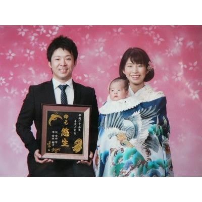 出産祝い 男の子用 刺しゅう名入れ命名書 (つるかめ流)の画像