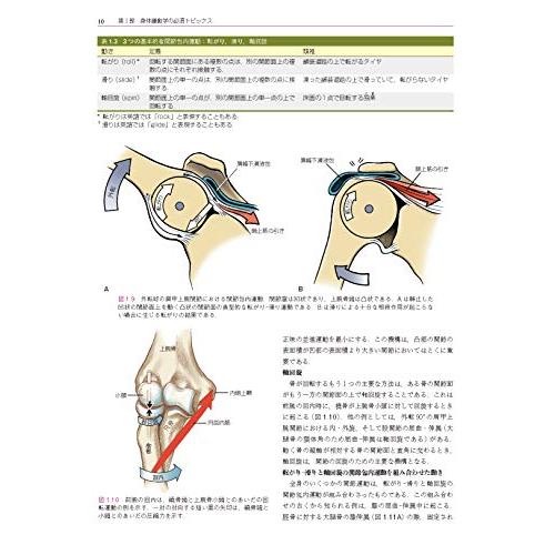 筋骨格系のキネシオロジー　原著第3版 