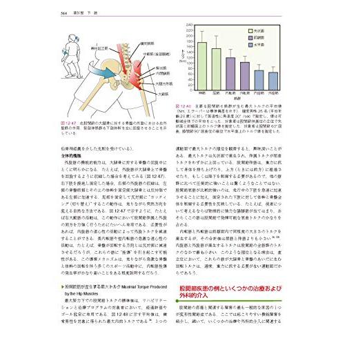 筋骨格系のキネシオロジー　原著第3版 