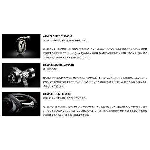 ダイワ(DAIWA) ティエラ IC 左ハンドル ベイトリール 100L ブラック 左ハンドル 100L ブラック mm