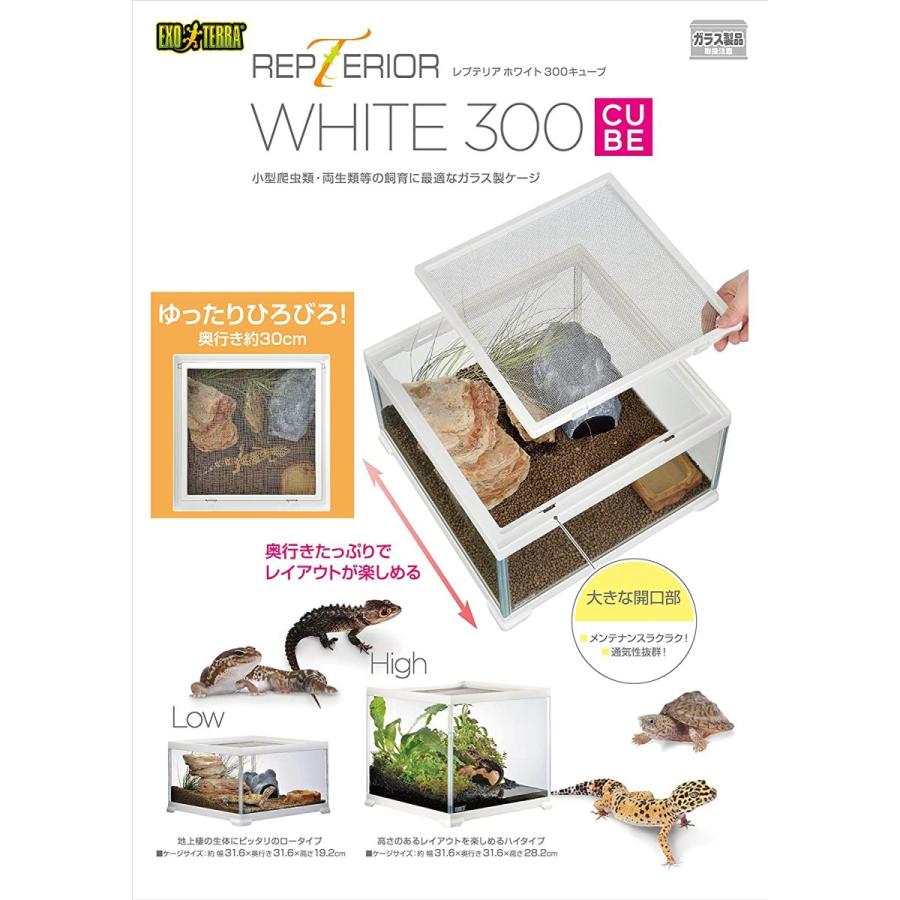 最終値下げ ジェックス レオパ飼育キット 爬虫類用ガラスケージ ヒーター付 W31 6 D31 6 19 2cm 気質アップ Kwsrbd Com