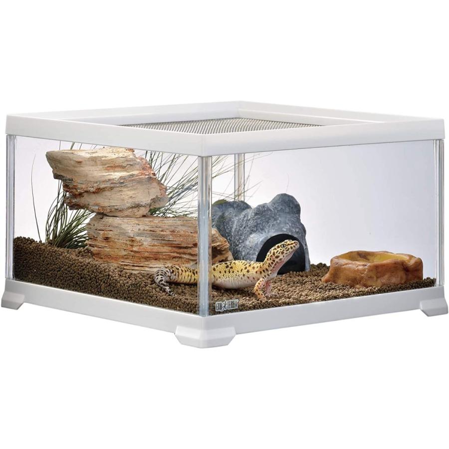 最終値下げ ジェックス レオパ飼育キット 爬虫類用ガラスケージ ヒーター付 W31 6 D31 6 19 2cm 気質アップ Kwsrbd Com