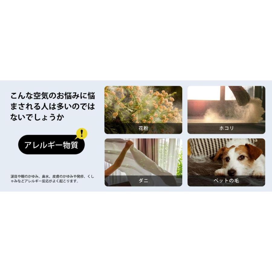 【送料無料】Levoit交換用フィルター 【対応機種:Core300 CoreP350 Core300S】 静電HEPA フィルター適用空気清浄機 公式代理店|tt-store|08