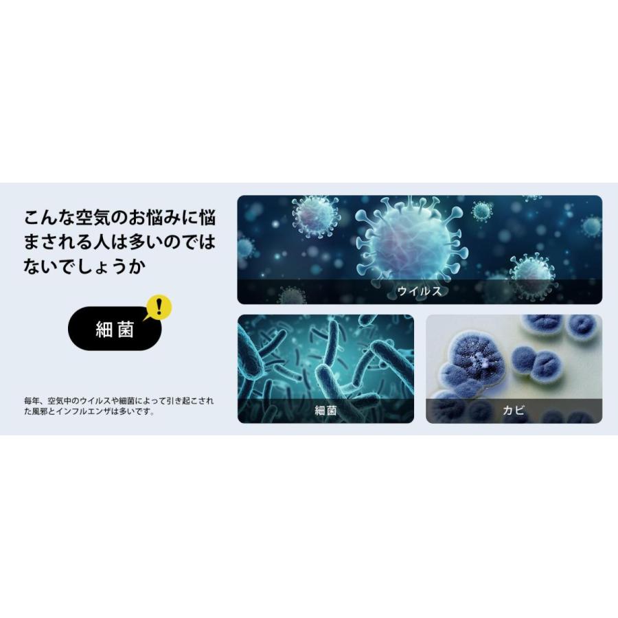 【送料無料】Levoit交換用フィルター 【対応機種:Core300 CoreP350 Core300S】 静電HEPA フィルター適用空気清浄機 公式代理店|tt-store|10
