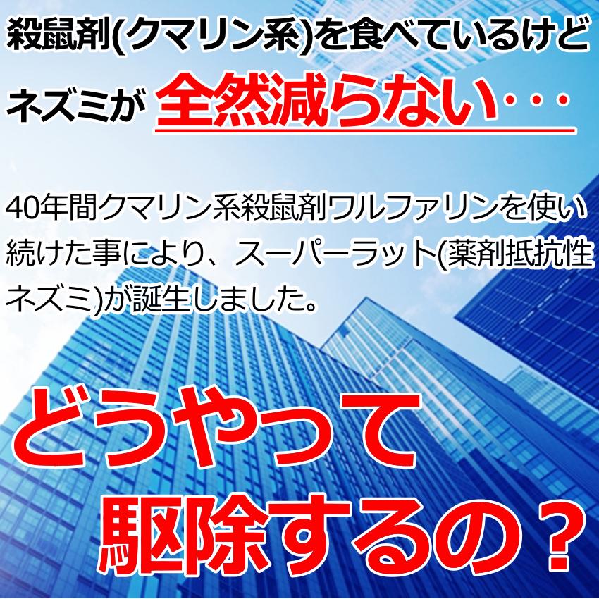 業務用殺鼠剤スーパーデスモア500g毒餌皿10枚付 ネズミ 予防 駆除 退治 対策 強力 スーパーラット 抵抗性の画像