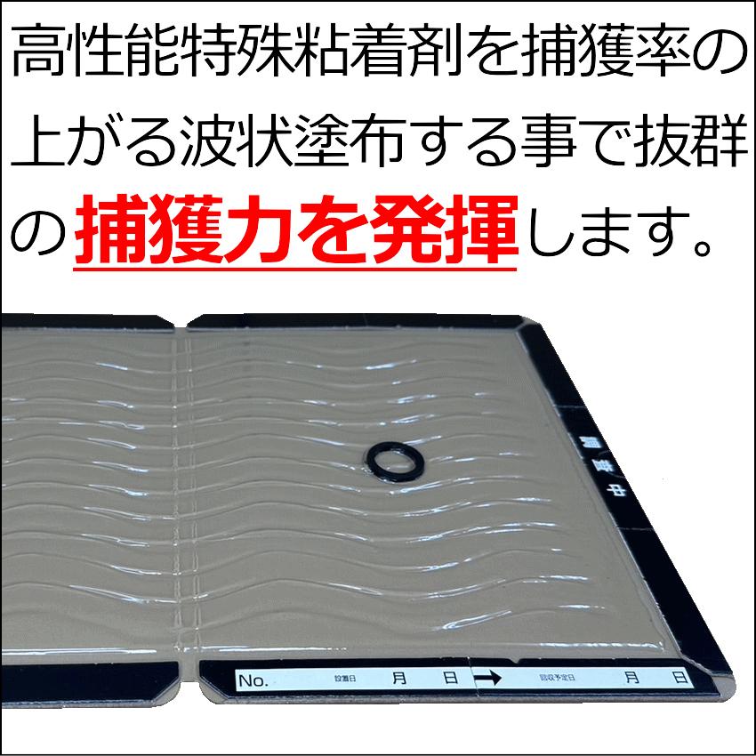 乾いた所専用ネズミ粘着板プロボードBT 500枚 ネズミ駆除 粘着シート 捕獲 退治の画像