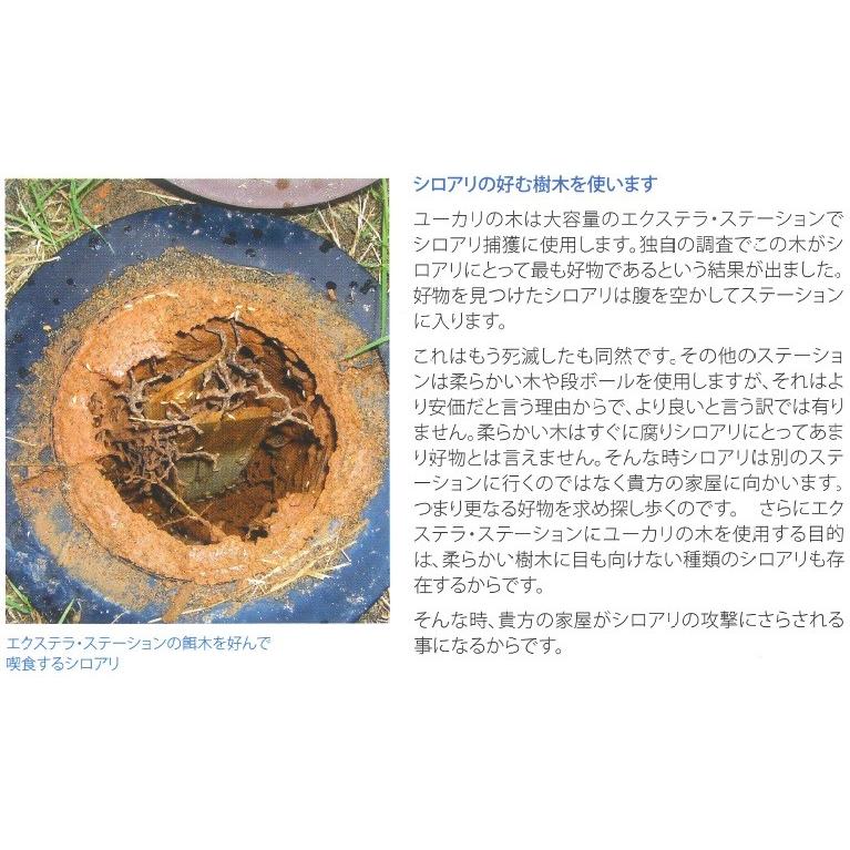 エクステラステーション15セット・誘引剤フォーカス15袋・Y字キー付 シロアリベイト工法 白蟻 予防 駆除の画像