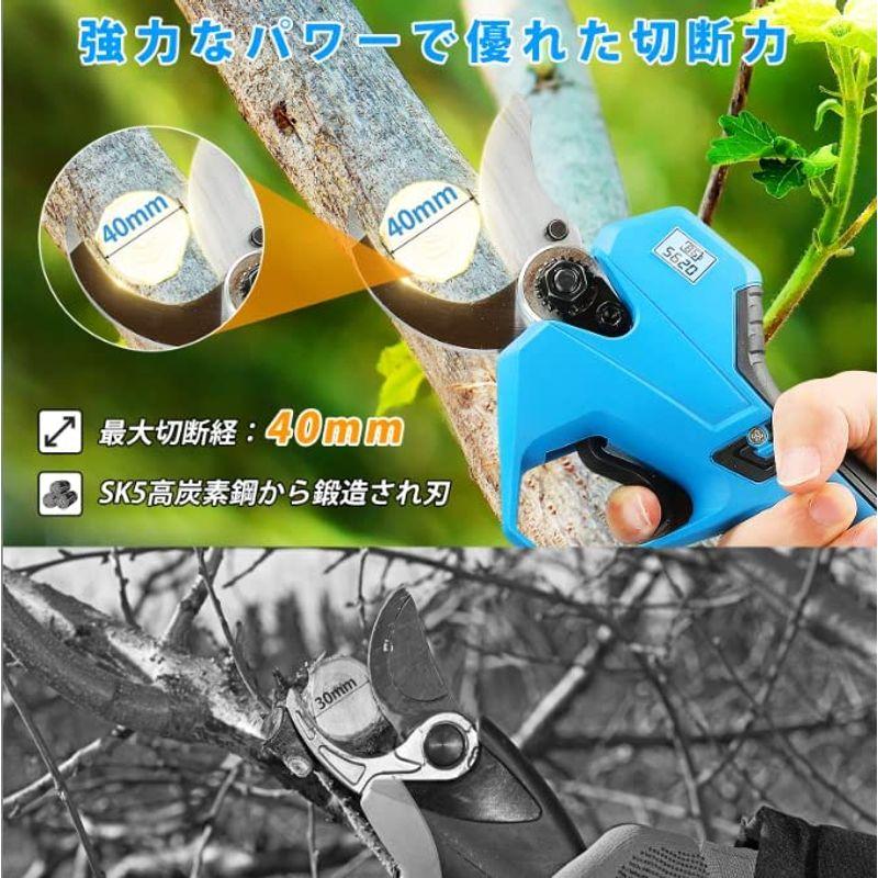 ブランド買うならブランドオフブランド買うならブランドオフElikliv 剪定ばさみ替刃セット 切断直径40mm 園芸用はさみスペアブレード 電動ハサミ替刃セット ステンレス 鋼 庭木 枝切り 果樹 農業用 3CM電気剪定ばさみ替刃セット SK5高炭素鋼カッターヘッド 切削径30MM庭木 枝切り 果樹用 広葉樹 鉢植え枝切り園芸用電動ハサミ替刃