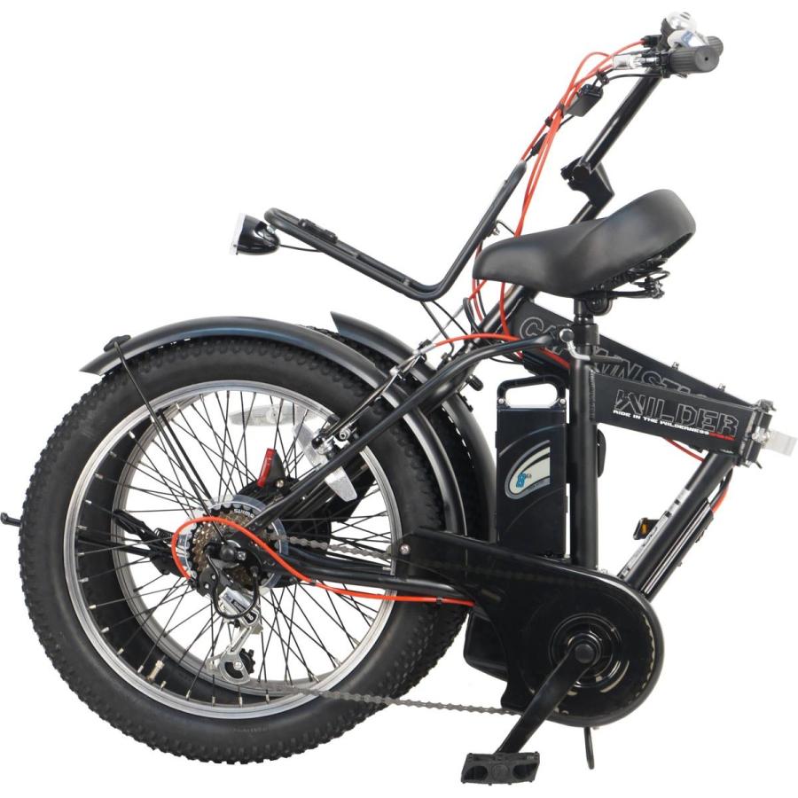 キャプテンスタッグ 電動自転車 eワイルダー 20インチ キャプテンスタッグ 電動自転車 eワイルダー 20インチ
