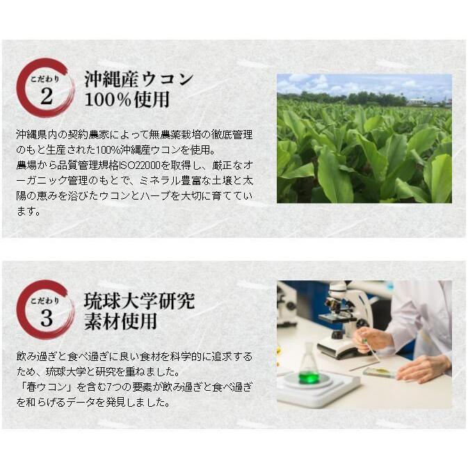 ウコン28％増量 プレミアム琉球酒豪伝説20袋（120包入）・【酒豪伝説の