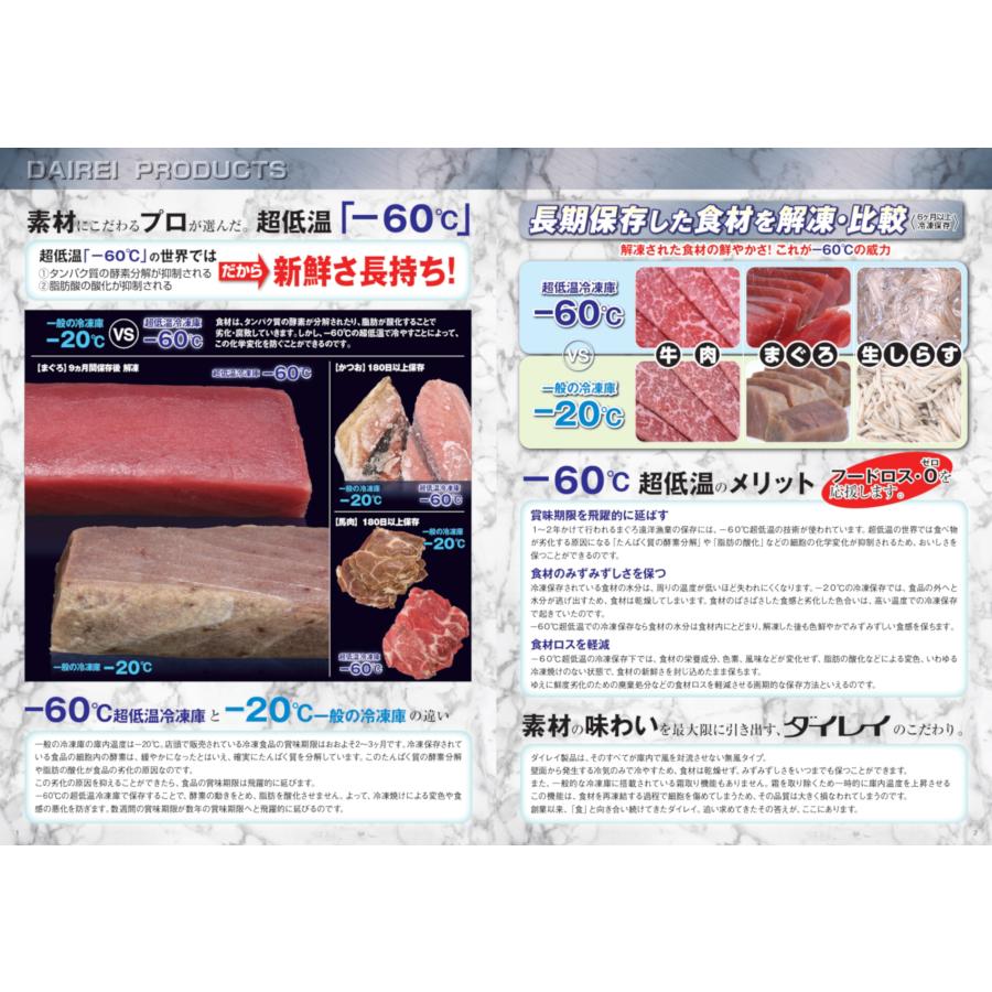 ダイレイ(冷凍庫) ダイレイ DAIREI チェスト型 スーパー ダイレイ(冷凍庫) ダイレイ DAIREI チェスト型 スーパー