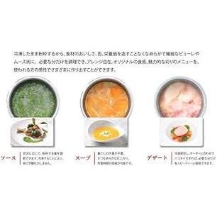 FMI 日本国内正規輸入品 (エフエムアイ) ヴィタエコ 冷凍粉砕 FMI 日本国内正規輸入品 (エフエムアイ) ヴィタエコ 冷凍粉砕
