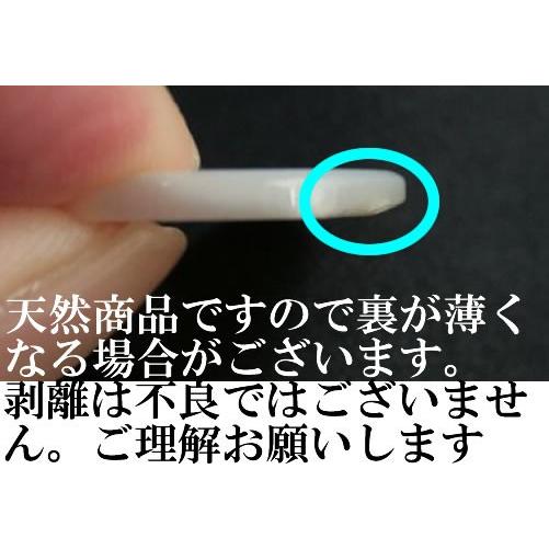 送料無料 17型高瀬貝ボタン染色20mmHK17T color.7ブラウン シェルボタン |  | 02