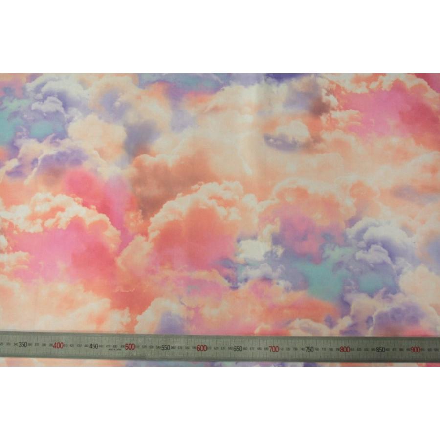 8254 カラー1004 プリント裏地見本帳 ユーロデザインシリーズ・キャンディフロス |  | 01