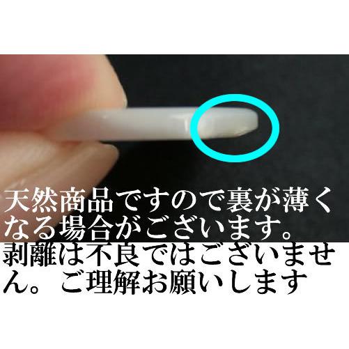 17型黒蝶貝ボタン 20mm シェルボタン |  | 03