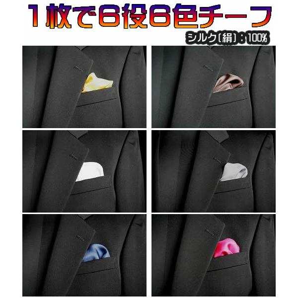 送料無料 シルク100%６色ポケットチーフ シルクチーフ |  | 01