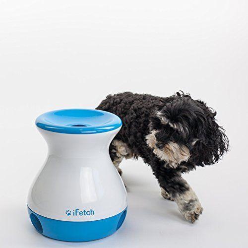Ifetch Mini 小型犬 中型犬用 自動キャッチボール T S Shop 通販 Yahoo ショッピング