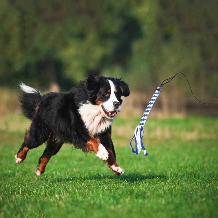 Asocea 犬じゃらし 小型犬 大型 噛むおもちゃ2個 釣竿じゃらし じゃれ犬伸縮式 釣り竿 犬用ロープおもちゃ 犬玩具 犬遊び 天然コッ T S Shop 通販 Yahoo ショッピング
