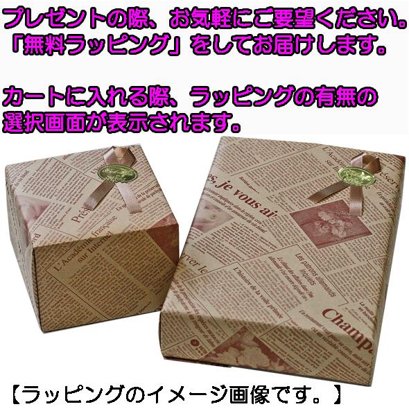 MICHEL KLEIN ミッシェルクラン 財布 長財布 ラウンドファスナー